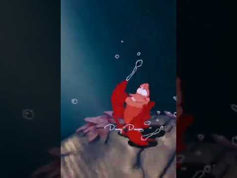 Sebastian Mp4 Disney Dreams