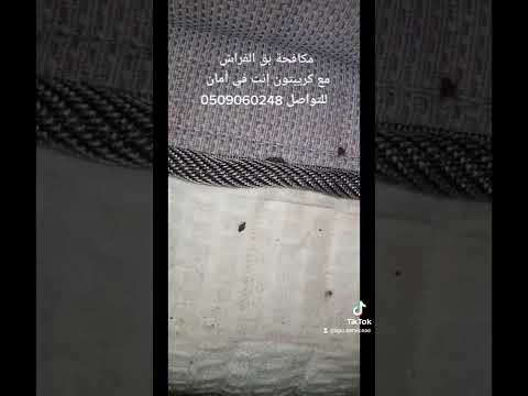 شاهد ماذا حدث لبق الفراش بعد المكافحة