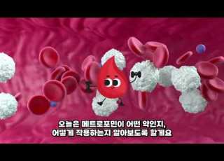 메트로포민 Metformin 서방정 당뇨병 얼마나 치료될까