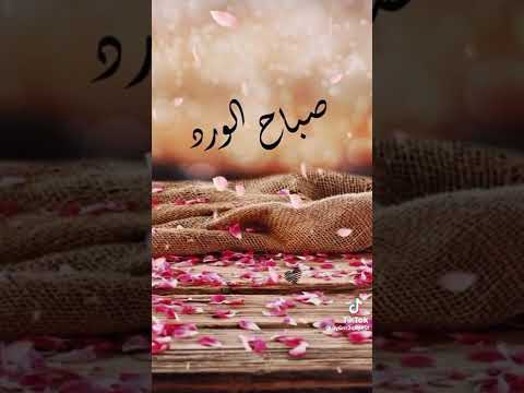 حالة واتس صباح الورد
