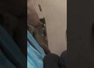  شاكر انت الي بدأت
