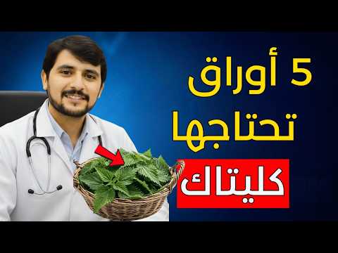 يحذر الطبيب 5 أوراق تحمي كليتيك وتمنع الحاجة إلى الغسيل الكلوي يحذر الطبيب 5 أوراق تحمي كليتيك وتمنع الحاجة إلى الغسيل الكلوي