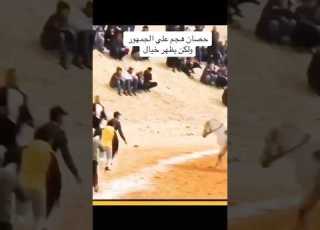 الخيل من خيالها خيل عربي خيل