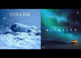 Elektronomia Vitality X Collide Mashup
