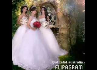  Al Zafaf Australia Ajman UAE