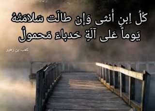 بيت روعة للشاعر كعب بن زهير كل ابن أنثى وإن طالت سلامته