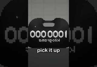 The Heaviest Mod In Melon Playground 
