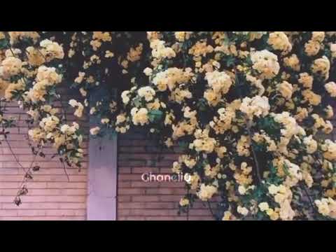 مافيش مانع بصوت غنيلي اغنية الفنانة شيرين عبدالوهاب كبرت عليك او اتغيرت مش فارقة بتلوم عليا