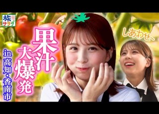 As Sweet As Strawberries The Blessing Of The Sun Yasu S Fruit Tomatoes Are