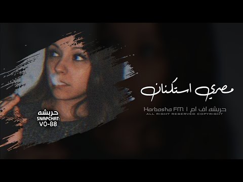 اغاني استكنان 2025 مصري عيلة تايهة تايهة ياولاد الحلال الحلوها خوخا مطلوب اكثر شي