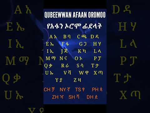 የአፋን ኦሮሞ ፊደላት Qubeewwan Afaan Oromoo Alphabet Shorts Learn Ethiopia Education የአፋን ኦሮሞ ፊደላት Qubeewwan Afaan Oromoo Alphabet Shorts Learn Ethiopia Education