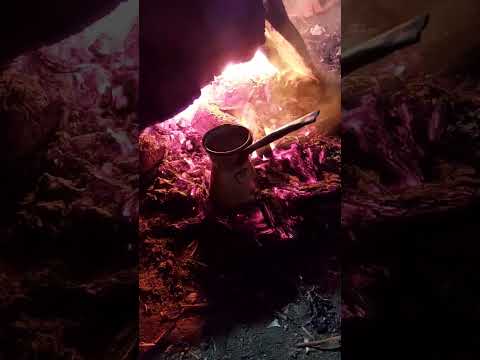 يا خسارة الحر