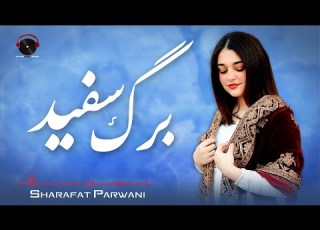  Sad Barg Safid Audio Song Sharafat Parwani آهنگ شرافت پروانی صد برگ سفید