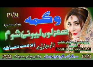  Wagma II Pashto Song II Hum Zolow Lewanai Shoom II HD 2020 II Pashto Vines Music