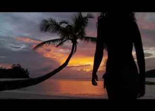  Bossa For You Plamen Petrov