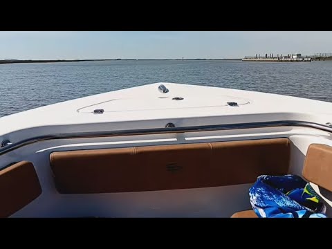 Fun In The Sun A Day Of Boating Adventure