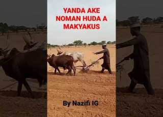 NOMAN HUDA DAMINA A MAKYAKUS Hero Kano Nnpp Kannywood