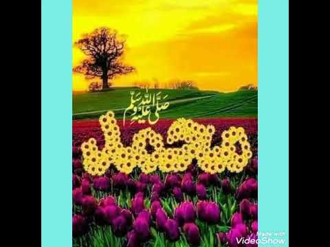 طالما أشكو غرامي المنشد محمد بشير