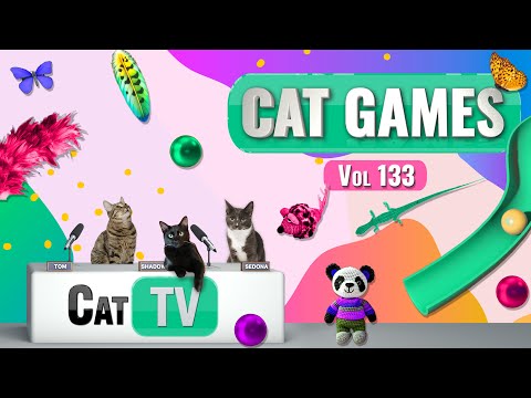 CAT Games Ultimate Cat TV Compilation Vol 133 8 HOURS
