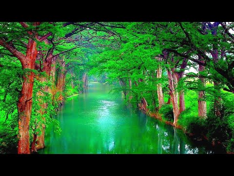 دعاء الفرج عجيب للفرج العاجل ورفع البلاء وجلب الرزق حمزة بوديب ارح سمعك راحه نفسية دعاء الفرج عجيب للفرج العاجل ورفع البلاء وجلب الرزق حمزة بوديب ارح سمعك راحه نفسية