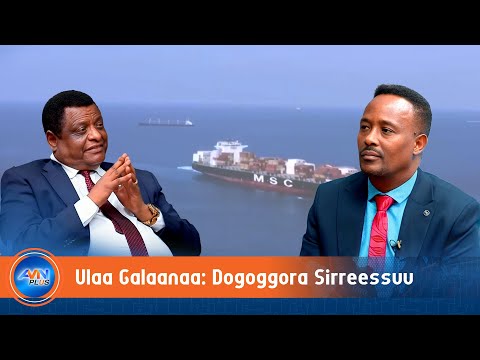 Itoophiyaan Ulaa Galaanaa Dogoggoraan Dhabde Sirreessuuf Waloon Hojjechuu Barbaachisa