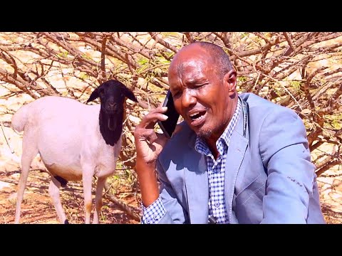 Filmkii Laxda Sooraan Oo Dhamaystiran Iyo Qosolkii Aduunka 2021