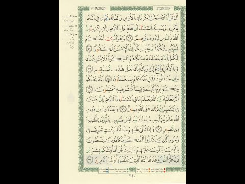 الورد اليومى سورة الحج من الاية 65 الى الاية 72 بصوت القارئ الشيخ ماهر المعيقلى ماهر المعيقلي