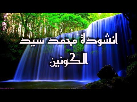 اجمل نشيد محمد سيد الكونين والثقلين للمنشد مسعودكرتس نحن في داك يا رسول لله