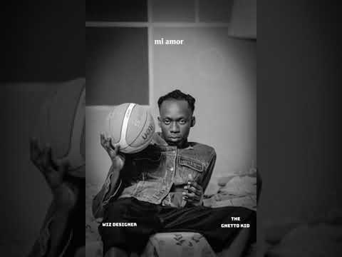 Wiz Designer Mi Amor