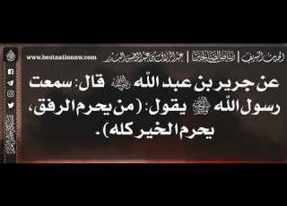  637 شرح حديث من يحرم الرفق يحرم الخير كله الشيخ عبدالرزاق البدر