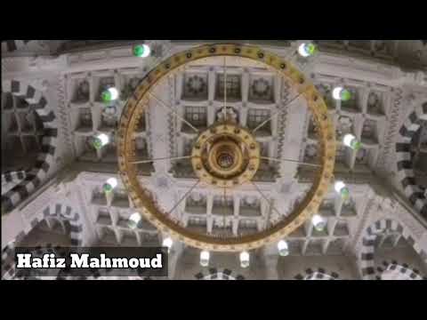 ليت العيون من جماله تتأمل