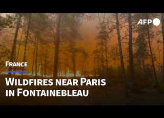Major Fire Rages In Fontainebleau Forest Near Paris AFP