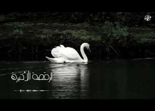 الة الأخيرة بدون موسيقى
