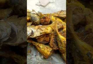 مقادير عمل وجبات سمك المطاعم في مطبخ مطعم السمك المقلي في مدينة الداخلة المغرب Fish