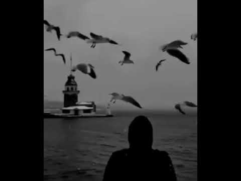 وياطير يامسافر للي نسو وليالي علينا قسو