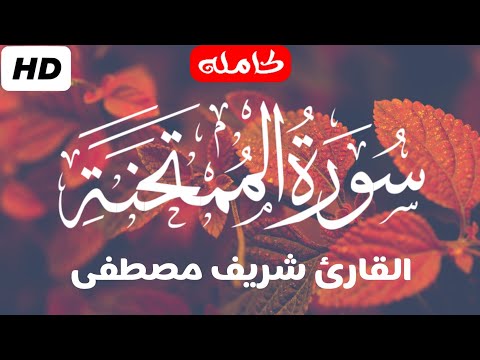 سورة الممتحنة تلاوة راقية في غاية الجمال للقارئ شريف مصطفى Surah AlMumtahanah