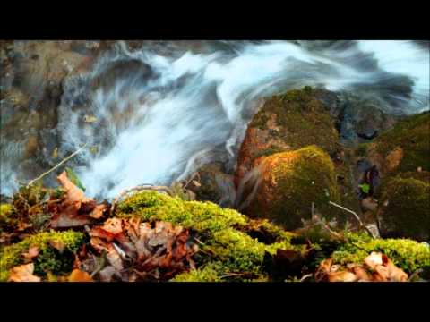 الجزء 24 إدريس أبكر عبدالولي الأركاني الجزء 24 إدريس أبكر عبدالولي الأركاني