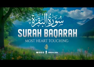 Surah Al Baqarah سورة البقره Ultimate Majestic Heart Relaxing Quran Recitation Lofiquran