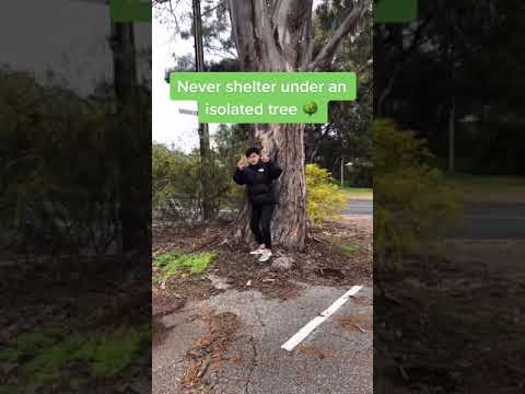 Safety Tips During A Storm Shorts