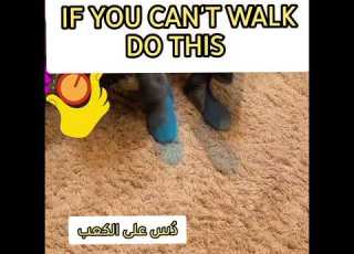  لمن لا يتمكنون من المشي