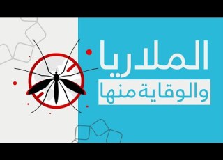  كيف تحمي نفسك من الملاريا