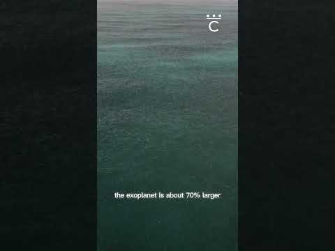 THIS PLANET IS FULLY COVERED IN WATER Shorts