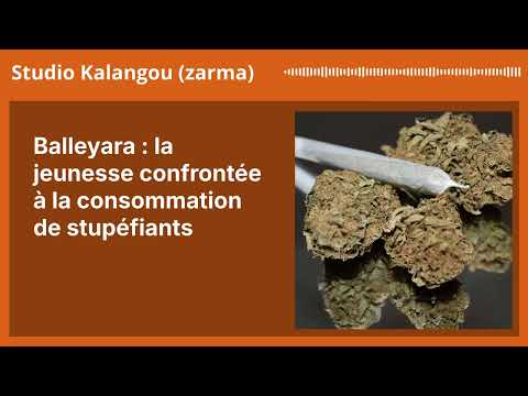 Balleyara La Jeunesse Confrontée à La Consommation De Stupéfiants Studio Kalangou Zarma