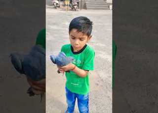 Goli Daye Daye Viral Newsong Msmast11 U9e Punjabi