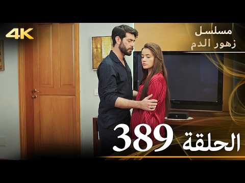 الحلقة 389 مسلسل زهور الدم مدبلج بالعربية Kan Çiçekleri جودة 4K