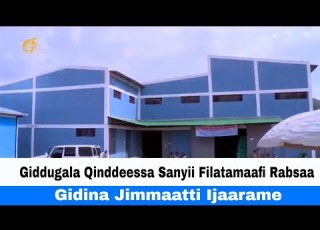Giddugala Qinddeessa Sanyii Filatamaafi Rabsaa Gidina Jimmaatti Ijaarame