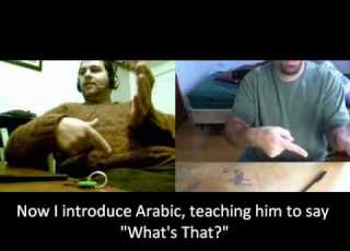  Whats That Arabic With Sandy Wmv