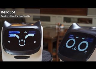  Bellabot Serving At Nevins Newfield Inn