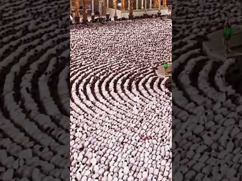 الله الله الله الله ما لنا مولى سوى الله