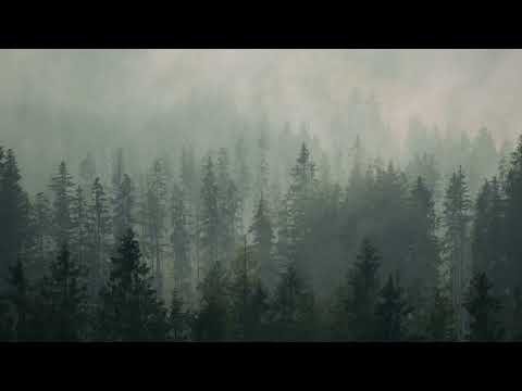 Ballad To A Mexican Desert Yehezkel Raz Feat Sivan Talmor CINEMATIC MUSIC